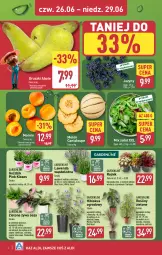 Gazetka promocyjna Aldi - Oferta weekendowa - Gazetka - ważna od 29.06 do 29.06.2025 - strona 4 - produkty: Sok, Hibiskus, Jeżyny, Tera, Dron, Sałat, Gruszki, Melon, Miecz