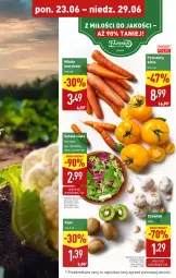 Gazetka promocyjna Aldi - Oferta weekendowa - Gazetka - ważna od 29.06 do 29.06.2025 - strona 9 - produkty: Czosnek, Sałat, Pomidory, Fa
