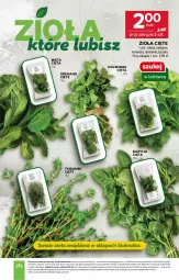 Gazetka promocyjna Stokrotka - Supermarket - Gazetka - ważna od 24.09 do 24.09.2025 - strona 9 - produkty: Kolendra, Bazyl, Bazylia, Mięta, HP
