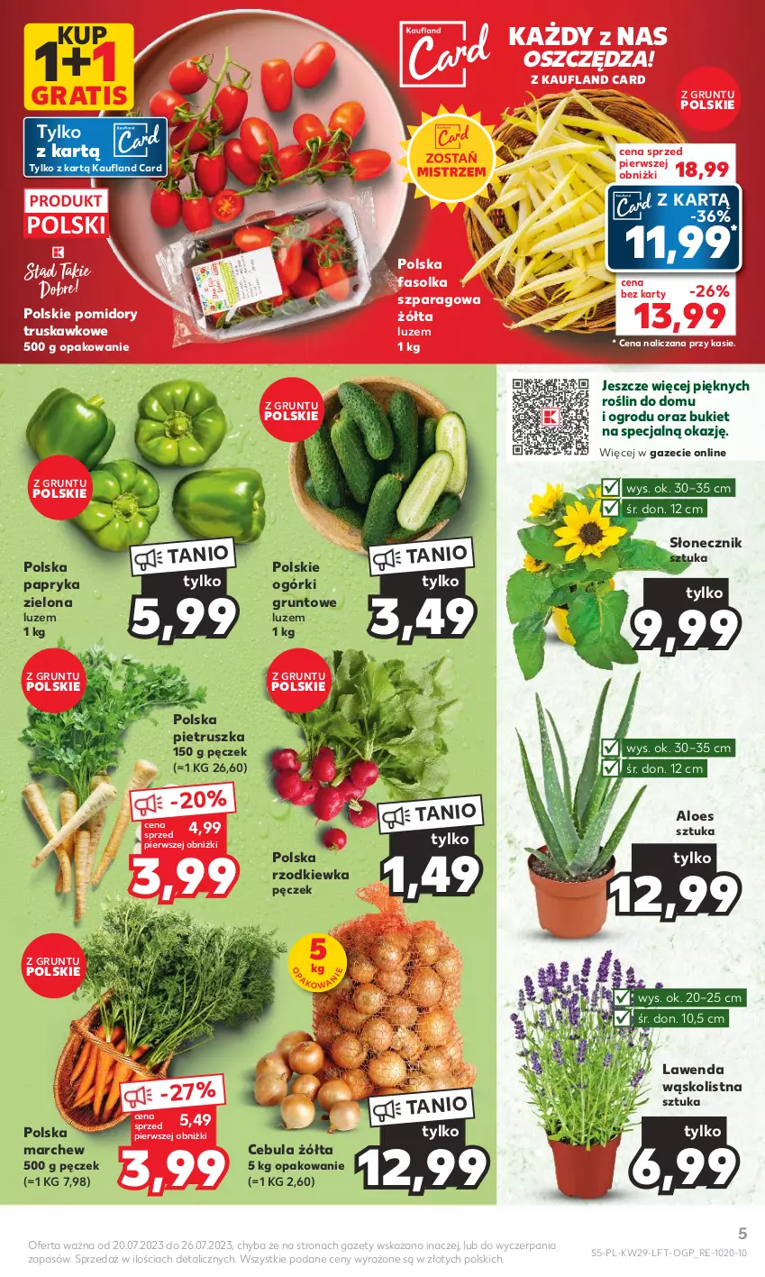 Gazetka promocyjna Kaufland - Gazetka tygodnia - ważna 20.07 do 26.07.2023 - strona 5 - produkty: Bukiet, Cebula, Fa, Gra, Grunt, Papryka, Pietruszka, Pomidory, Rzodkiewka