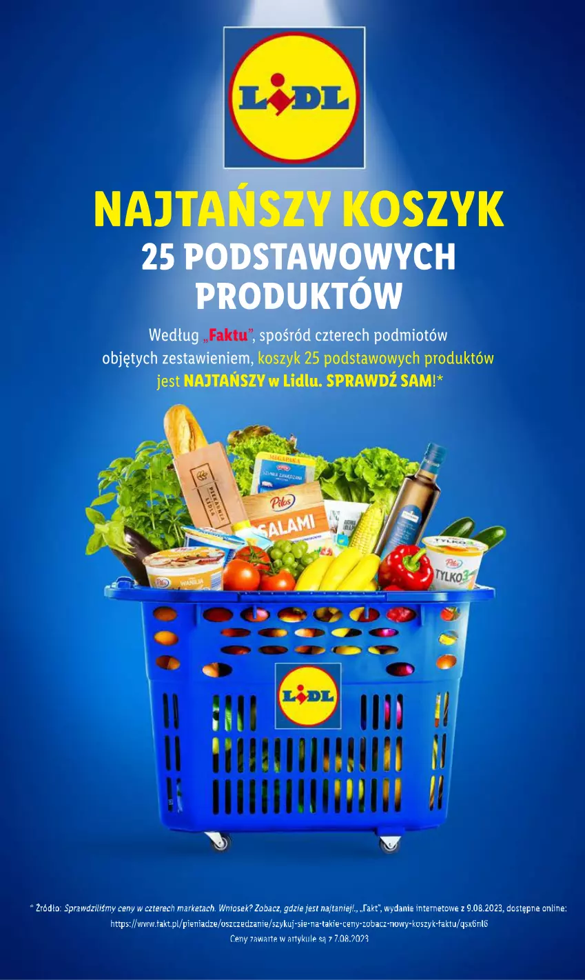 Gazetka promocyjna Lidl - GAZETKA - ważna 17.08 do 19.08.2023 - strona 3 - produkty: Fa, Kosz