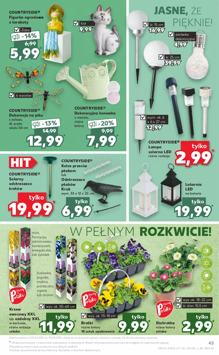 Gazetka promocyjna Kaufland - OFERTA TYGODNIA - ważna 25.03 do 30.03.2021 - strona 45 - produkty: Aronia, Borówka, Gra, Gres, Konewka, Kret, Lampa, Latarnia, Por, Róża, Stek, Tera