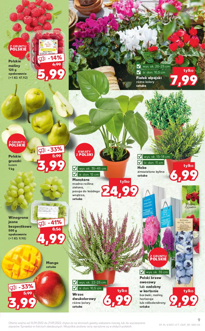 Gazetka promocyjna Kaufland - OFERTA TYGODNIA - ważna 15.09 do 21.09.2022 - strona 9 - produkty: Dron, Drony, Grunt, Gruszki, Maliny, Mango, Tera, Wino, Winogrona