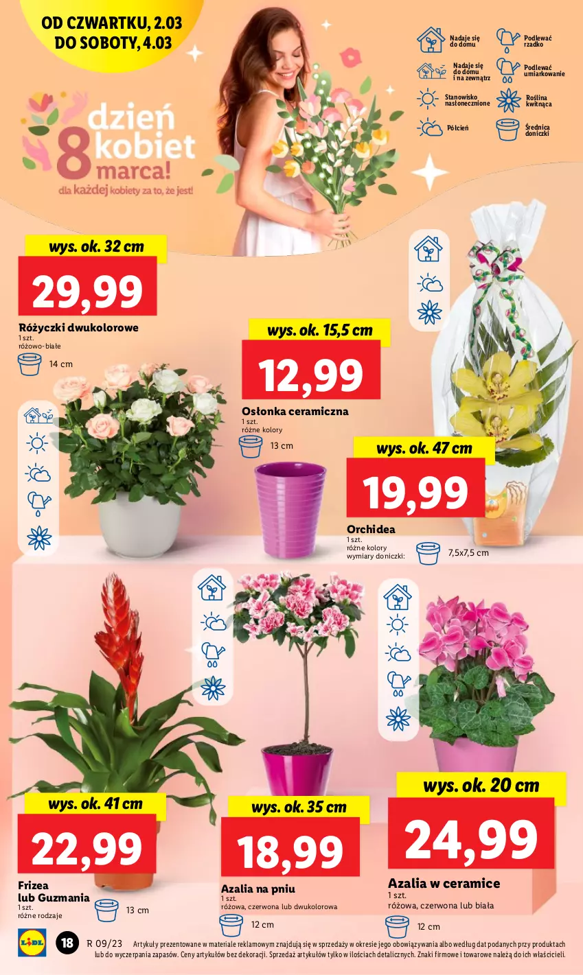 Gazetka promocyjna Lidl - GAZETKA - ważna 02.03 do 04.03.2023 - strona 20 - produkty: Cień, O nas, Osłonka