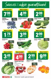 Gazetka promocyjna Spar - Spar - Gazetka - ważna od 23.07 do 23.07.2025 - strona 2 - produkty: Cebula, Borówka, Sałata lodowa, Morela, Ogórek, Sałat, Rzodkiewka