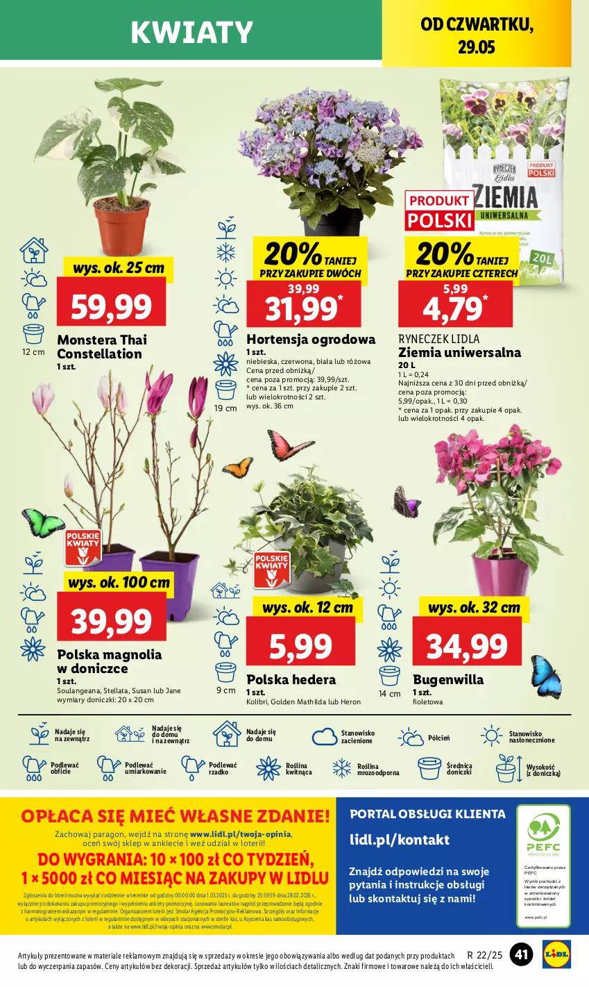 Gazetka promocyjna Lidl - GAZETKA - ważna 29.05 do 31.05.2025 - strona 51 - produkty: Cień, Gra, Laur, Mola, O nas, Por, Portal, Sok, Tera