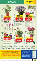 Gazetka promocyjna Lidl - GAZETKA - Gazetka - ważna od 31.05 do 31.05.2025 - strona 51 - produkty: Sok, Por, Gra, Cień, O nas, Portal, Tera, Laur, Mola