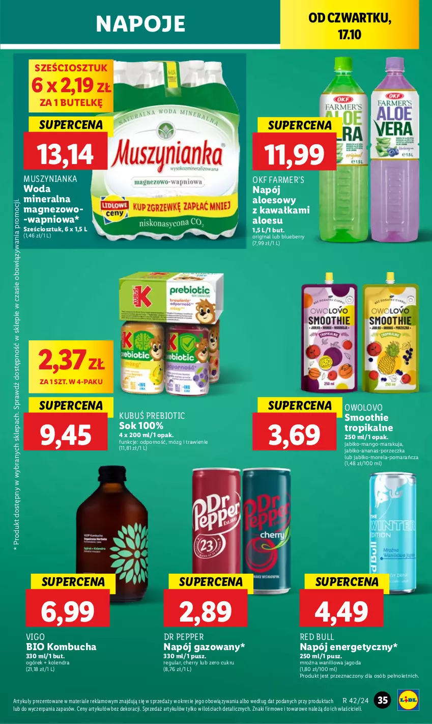 Gazetka promocyjna Lidl - GAZETKA - ważna 17.10 do 19.10.2024 - strona 41 - produkty: Ananas, Fa, Gin, Kawa, Kolendra, Kubuś, Magnez, Mango, Morela, Mus, Muszynianka, Napój, Napój energetyczny, Napój gazowany, Napoje, Ogórek, Por, Red Bull, Smoothie, Sok, Woda, Woda mineralna