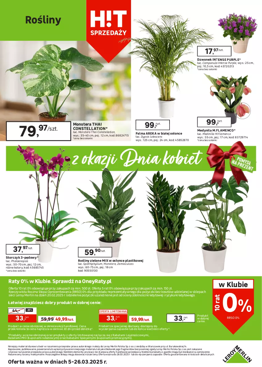 Gazetka promocyjna Leroy Merlin - Gazetka Leroy Merlin - ważna 05.03 do 26.03.2025 - strona 26 - produkty: Campanula, Dzwonek, Kosz, Palma, Pur, Sprzedawcy, Storczyk, Tera, Top