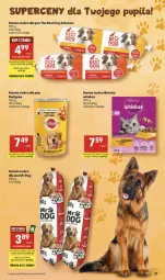 Gazetka promocyjna Delikatesy Centrum - Franczyza DC20 Czwartek - Gazetka - ważna od 20.05 do 20.05.2026 - strona 37 - produkty: Sok, Rum, Sokołów, Whiskas, Pedigree