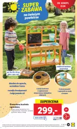 Gazetka promocyjna Lidl - GAZETKA - Gazetka - ważna od 22.04 do 22.04.2023 - strona 45 - produkty: Gry, Zlew, Kuchnia, Zlewozmywak, Pojemnik, Drewniana kuchnia