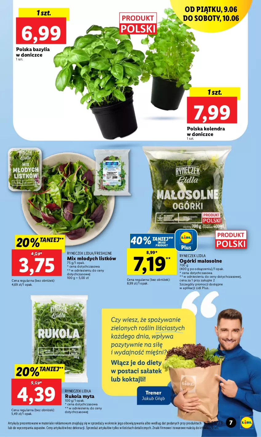 Gazetka promocyjna Lidl - GAZETKA - ważna 09.06 do 10.06.2023 - strona 17 - produkty: Bazyl, Bazylia, Kolendra, Lazur, Rukola