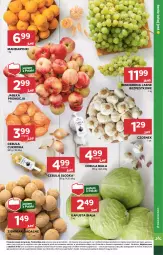 Gazetka promocyjna Stokrotka - Supermarket Opole/Radom - Gazetka - ważna od 29.10 do 29.10.2024 - strona 11 - produkty: Mandarynki, Cebula, Warzywa, Czosnek, Ziemniaki, Cebula biała, Winogrona, Owoce, Wino, Mięso, Jabłka