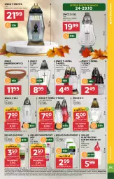 Gazetka promocyjna Stokrotka - Supermarket Opole/Radom - Gazetka - ważna od 29.10 do 29.10.2024 - strona 27 - produkty: Warzywa, Znicz, Owoce, Olej, Mięso, Wkład olejowy