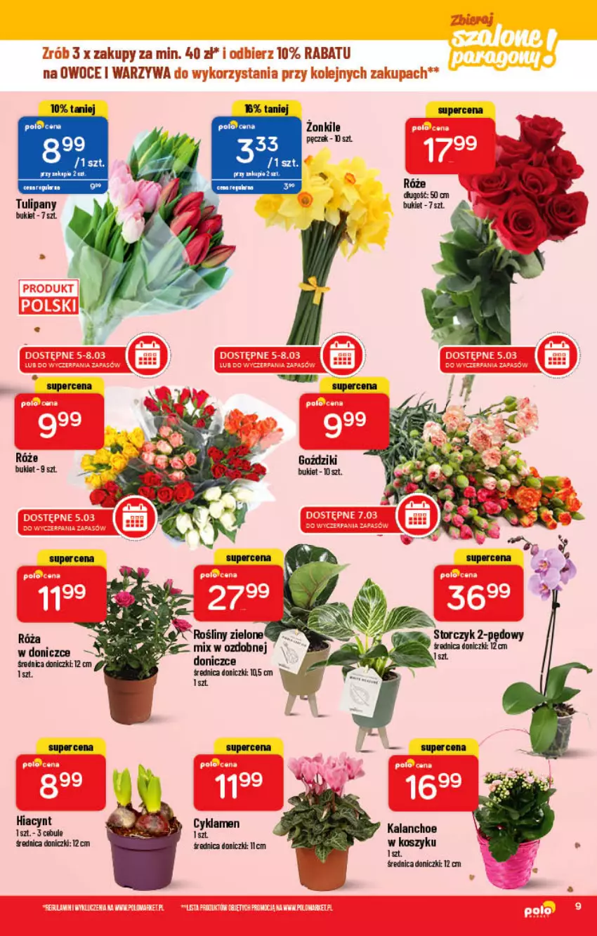 Gazetka promocyjna PoloMarket - Gazetka pomocyjna - ważna 02.03 do 08.03.2022 - strona 9 - produkty: Bukiet, Kalanchoe, Olej, Owoce, Storczyk, Tulipan, Warzywa