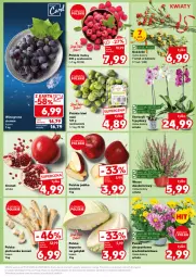 Gazetka promocyjna Kaufland - Kaufland - Gazetka - ważna od 25.09 do 25.09.2024 - strona 11 - produkty: Gra, Pietruszka, Chryzantema, Granat, Kiwi, Maliny, Winogrona, Wino, Jabłka