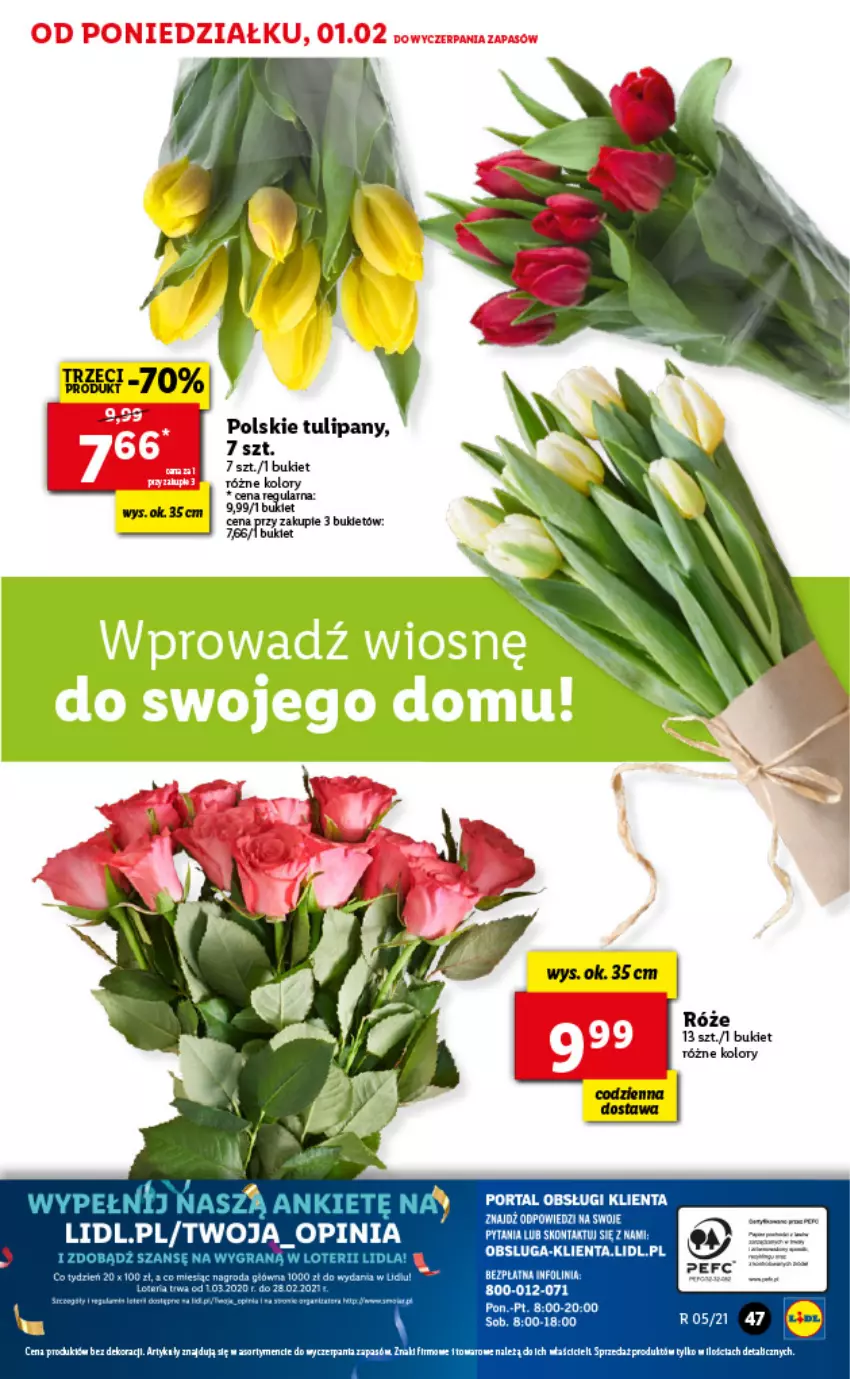 Gazetka promocyjna Lidl - GAZETKA - ważna 01.02 do 03.02.2021 - strona 47