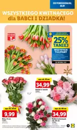 Gazetka promocyjna Lidl - GAZETKA - Gazetka - ważna od 22.01 do 22.01.2025 - strona 13 - produkty: Tulipan, Bukiet, Olej