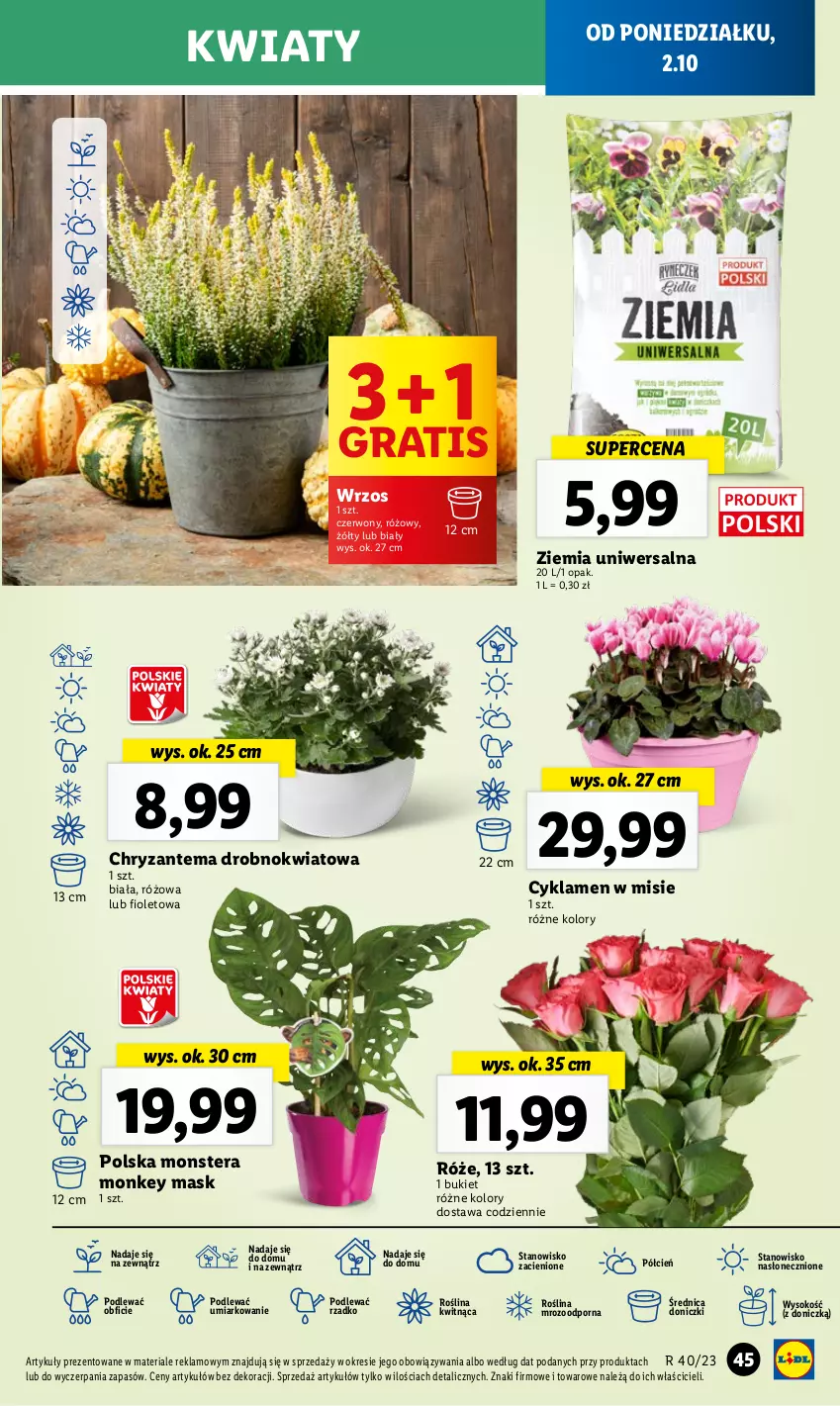 Gazetka promocyjna Lidl - GAZETKA - ważna 02.10 do 04.10.2023 - strona 53 - produkty: Bukiet, Chryzantema, Cień, Cyklamen, Gra, O nas, Por, Sok, Tera