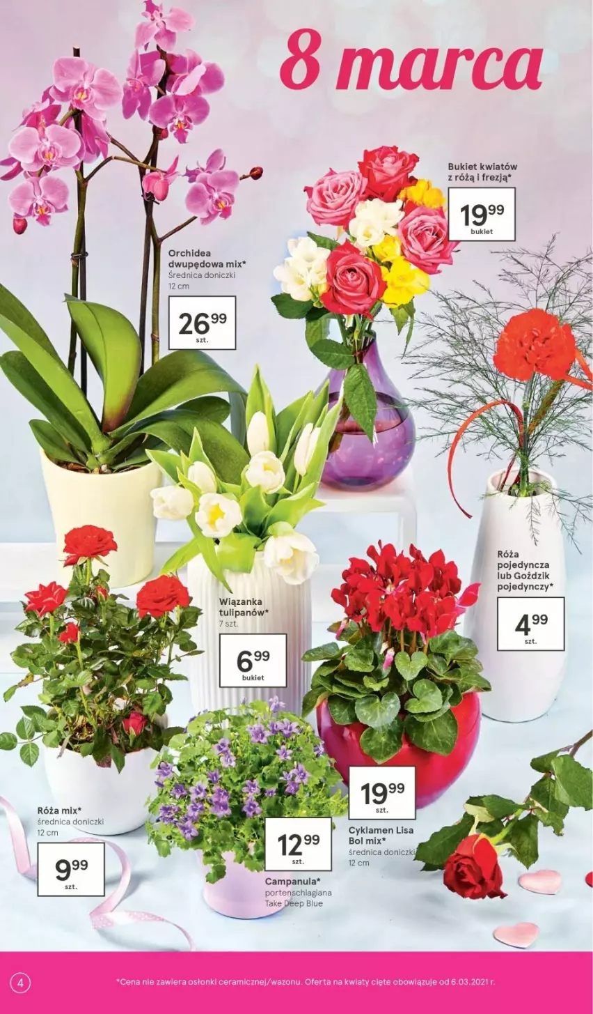 Gazetka promocyjna Tesco - Tesco gazetka - przyszły tydzień - ważna 04.03 do 10.03.2021 - strona 4 - produkty: Bukiet, Campanula, Chia, Cyklamen, Por, Róża, Tulipan