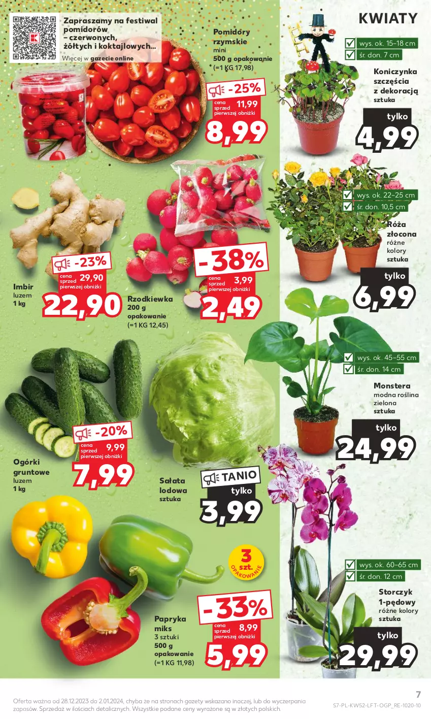 Gazetka promocyjna Kaufland - Gazetka tygodnia - ważna 28.12.2023 do 02.01.2024 - strona 7 - produkty: Grunt, Imbir, Papryka, Pomidory, Róża, Rzodkiewka, Sałat, Sałata lodowa, Storczyk, Tera