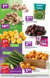 Gazetka promocyjna Stokrotka - Stokrotka Express - Gazetka - ważna od 18.02 do 18.02.2026 - strona 2 - produkty: Warzywa, Czosnek, Rukola, Buraki, Owoce, Harnaś, Mięso, Imbir