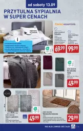 Gazetka promocyjna Aldi - Artykuły przemysłowe i tekstylia - Gazetka - ważna od 13.09 do 13.09.2025 - strona 13 - produkty: Sypialnia, Sok, Por, Koc, Kołdra, Wycieraczka, Cynk, Siatka, Poduszka, Dywan, Kokos, LG