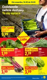 Gazetka promocyjna Lidl - Gazetka ważna od 14.05 do 16.05 - Gazetka - ważna od 16.05 do 16.05.2026 - strona 37 - produkty: Cebula, Sałat, Szpinak