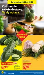 Gazetka promocyjna Lidl - Gazetka ważna od 14.05 do 16.05 - Gazetka - ważna od 16.05 do 16.05.2026 - strona 40 - produkty: Grunt