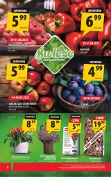 Gazetka promocyjna Arhelan - Gazetka - Gazetka - ważna od 07.09 do 07.09.2025 - strona 2 - produkty: Top, Waga, Jabłka