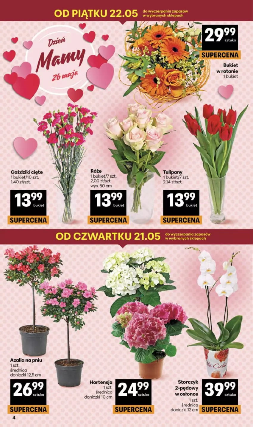 Gazetka promocyjna Delikatesy Centrum - Franczyza DC21 Czwartek - ważna 21.05 do 27.05.2026 - strona 4 - produkty: Bukiet, Storczyk, Tulipan