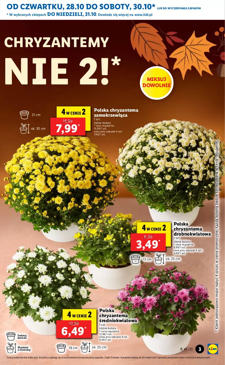 Gazetka promocyjna Lidl - GAZETKA - ważna 28.10 do 31.10.2021 - strona 3 - produkty: Chryzantema, Olej, Sok