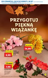 Gazetka promocyjna Lidl - GAZETKA - Gazetka - ważna od 31.10 do 31.10.2021 - strona 7 - produkty: Chryzantema, Bukiet, Sztuczny kwiat