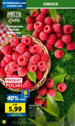 Gazetka promocyjna Lidl - GAZETKA - Gazetka - ważna od 18.06 do 18.06.2025 - strona 22 - produkty: Maliny, Owoce