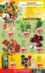 Gazetka promocyjna Kaufland - OFERTA TYGODNIA - Gazetka - ważna od 09.06 do 09.06.2021 - strona 18 - produkty: Cebula czerwona, Piec, Sałatka, Cebula, Sól, Ryż, Por, Gra, Olej ryżowy, Rama, Kotányi, Rukola, Costa d'Oro, Tera, Sałat, Piast, Pieprz, Grill, Olej, Pomidory, Boczniak