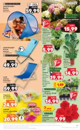 Gazetka promocyjna Kaufland - OFERTA TYGODNIA - Gazetka - ważna od 09.06 do 09.06.2021 - strona 49 - produkty: Gra, Namiot, Pigwowiec, Organizer, Kiwi, Pojemnik, Tera, Aronia, Bukiet, Krzesło, Wino