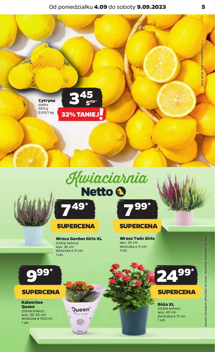 Gazetka promocyjna Netto - Artykuły spożywcze - ważna 04.09 do 09.09.2023 - strona 5 - produkty: Kalanchoe, Róża, Siatka