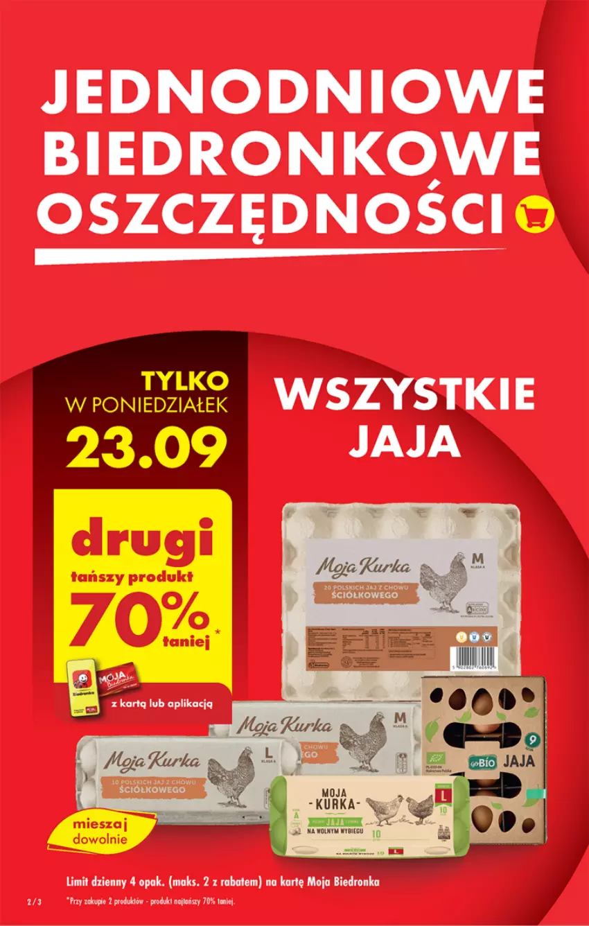 Gazetka promocyjna Biedronka - Od poniedzialku - ważna 23.09 do 28.09.2024 - strona 4 - produkty: Dron