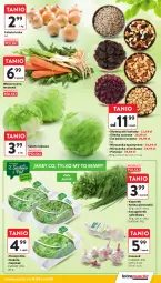 Gazetka promocyjna Intermarche - Gazetka Intermarche - Gazetka - ważna od 06.08 do 06.08.2025 - strona 11 - produkty: Cebula, Roszponka, Sałata lodowa, Czosnek, Rukola, Siatka, Sałat, Mieszanka orzechowa, Natka pietruszki, Szpinak