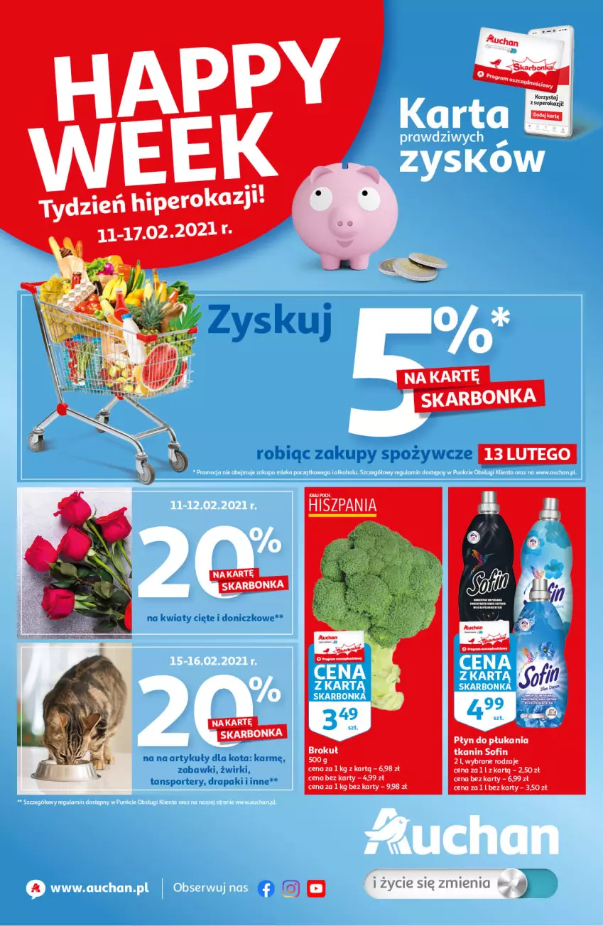 Gazetka promocyjna Auchan - Skarbonka 6 - ważna 11.02 do 17.02.2021 - strona 1