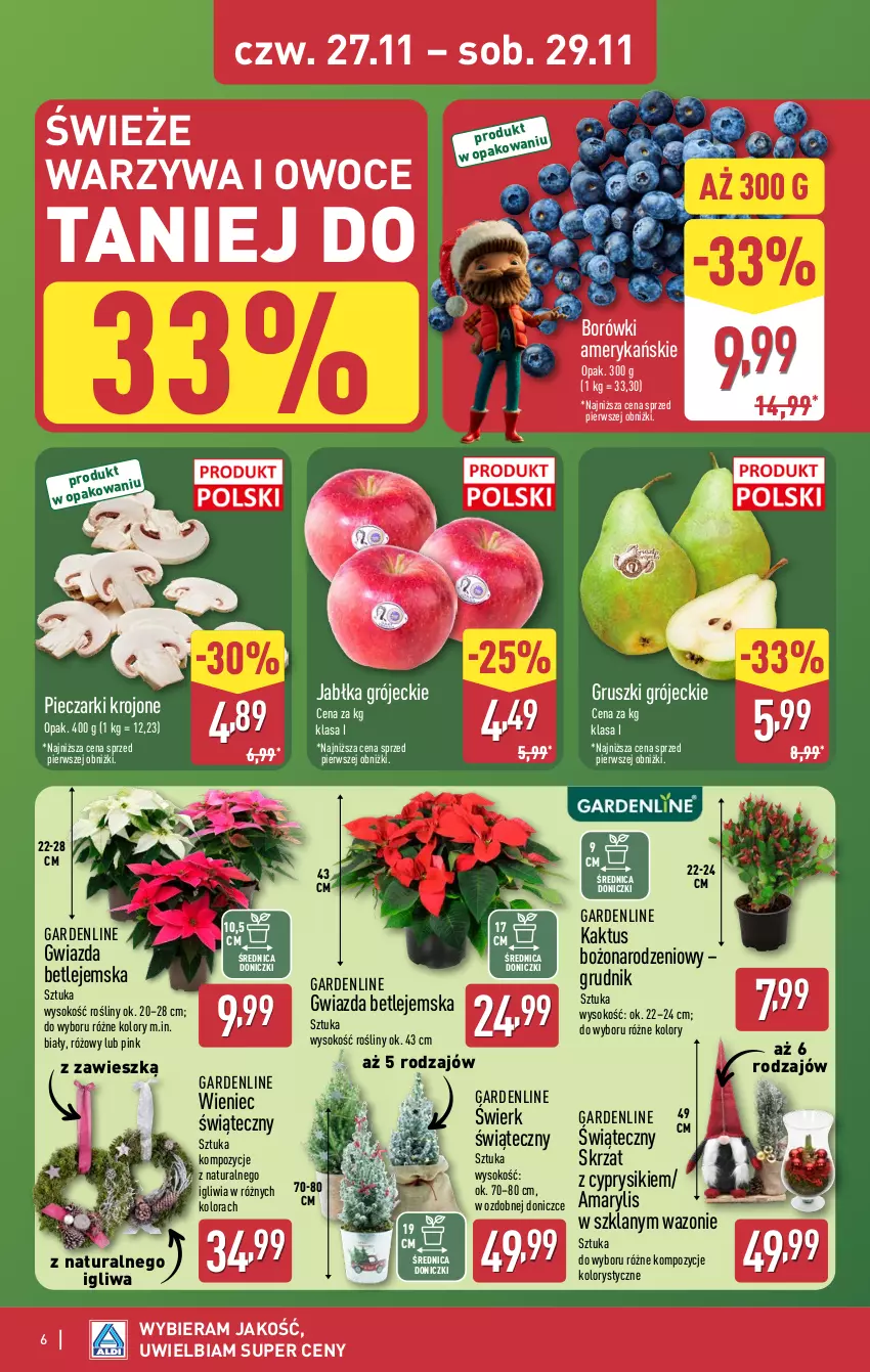 Gazetka promocyjna Aldi - Okazje weekendowe - ważna 27.11 do 29.11.2025 - strona 6 - produkty: Amarylis, Cyprysik, Gruszki, Gwiazda, Jabłka, Kaktus, Owoce, Piec, Pieczarki krojone, Skrzat, Sok, Warzywa, Warzywa i owoce, Wazon, Wieniec