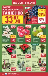 Gazetka promocyjna Aldi - Okazje weekendowe - Gazetka - ważna od 29.11 do 29.11.2025 - strona 6 - produkty: Piec, Warzywa, Sok, Cyprysik, Kaktus, Amarylis, Warzywa i owoce, Gwiazda, Wieniec, Wazon, Gruszki, Pieczarki krojone, Owoce, Skrzat, Jabłka