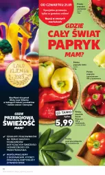 Gazetka promocyjna Kaufland - Gazetka tygodnia - Gazetka - ważna od 27.09 do 27.09.2023 - strona 10 - produkty: Warzywa, Papryka czerwona, Papryka, Papryka biała, Laur, Owoce, Papryka jalapeño