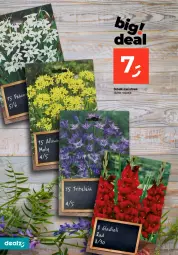 Gazetka promocyjna Dealz - MAKE A DEALZ - Gazetka - ważna od 06.03 do 06.03.2024 - strona 24 - produkty: Gra, Konewka, Sekator, Rękawice, Ogród