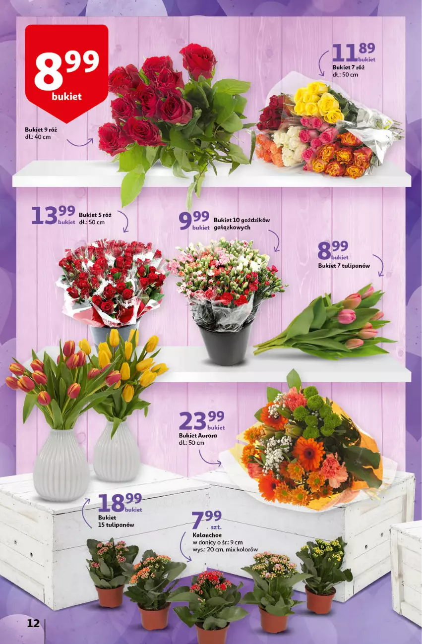 Gazetka promocyjna Auchan - przeNISKIE CENY na przebojowe marki Hipermarkety - ważna 10.02 do 16.02.2022 - strona 12 - produkty: Bukiet, Kalanchoe, Tulipan