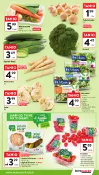 Gazetka promocyjna Intermarche - Gazetka Intermarche - Gazetka - ważna od 12.11 do 12.11.2025 - strona 13 - produkty: Cebula, Pietruszka, Ogórek, Sałat, Fa