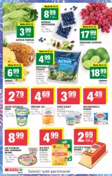 Gazetka promocyjna Spar - Spar-Mini - Gazetka - ważna od 06.01 do 06.01.2025 - strona 2 - produkty: Mozzarella, Ser, Borówka, Piątnica, Brie, Jogurt, Ananas, Serek, Camembert, Limonka, Hochland, Galbani, POLMLEK, Ser pleśniowy, Gouda, Wino, LG, Fa