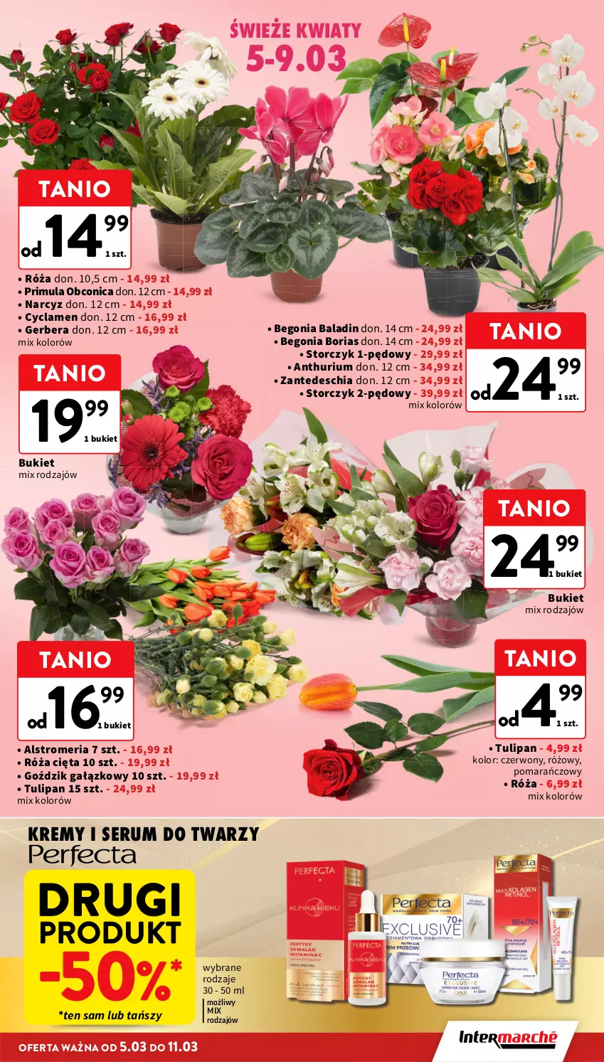Gazetka promocyjna Intermarche - Gazetka Intermarche - ważna 05.03 do 11.03.2026 - strona 11 - produkty: Bukiet, Chia, Gerber, Narcyz, Primula, Róża, Rum, Ser, Serum, Serum do twarzy, Storczyk, Tulipan