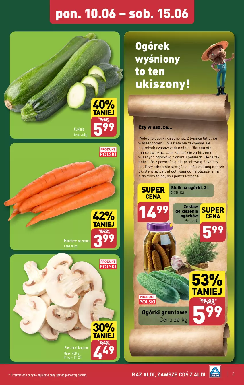 Gazetka promocyjna Aldi - Farmer ALDIK poleca świeże owoce i warzywa - ważna 10.06 do 15.06.2024 - strona 3 - produkty: Grunt, JBL, Ogórek, Piec, Pieczarki krojone