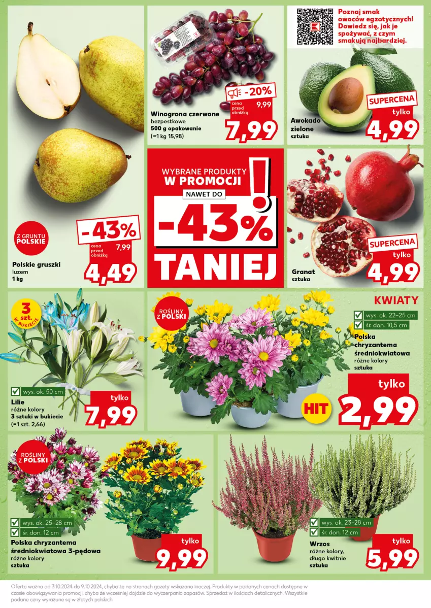 Gazetka promocyjna Kaufland - Kaufland - ważna 07.10 do 09.10.2024 - strona 13 - produkty: Chryzantema, Gruszki, Wino, Winogrona